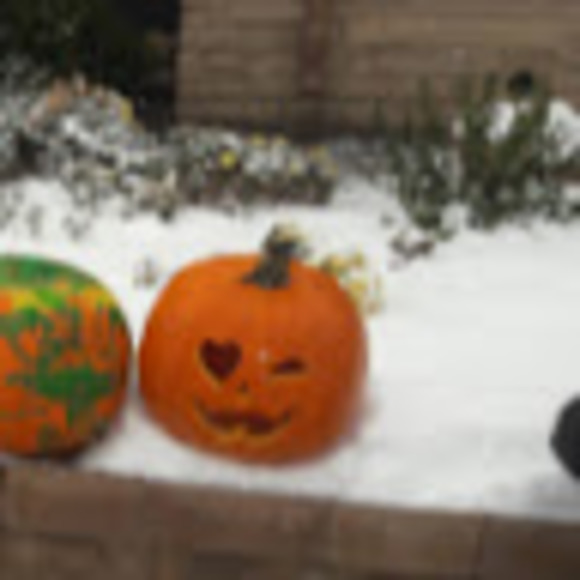 Meet your Posher, Juana - Picture 1 of 1